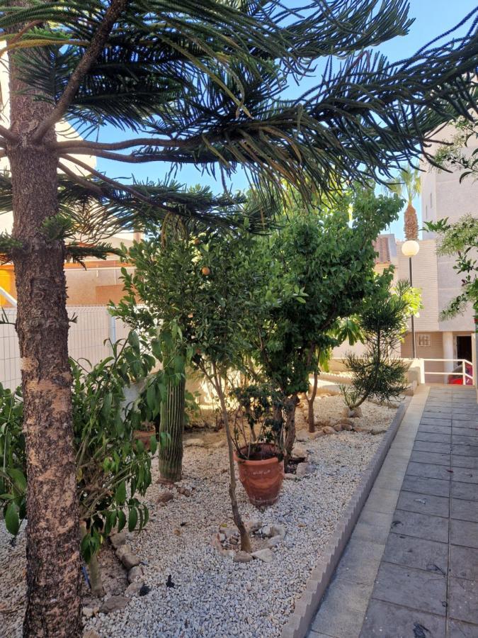 Magnifico Chalet Adosado En Torrevieja, Alicante. Extérieur photo